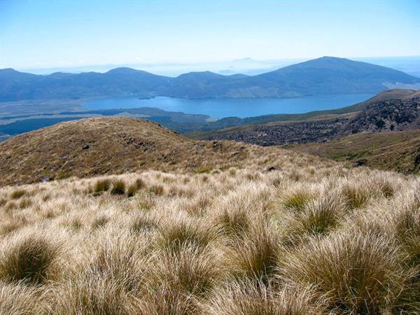 Tongariro Alpine Crossing Old Ketetahi Shelter Site To Ketetahi Car Park