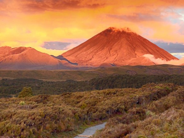 tongariro alpine crossing tour