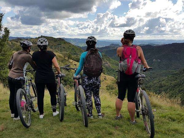 Tongariro Alpine Crossing - Summit Shuttles,